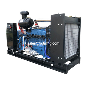 Generador Trifásico Sostenible de 25kw, 30kw, 40kw, 50kw, 100kw, 1000kw, Precio del Gas - Product Image 1