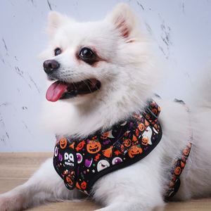 QQPETS ハロウィン犬用ハーネスリードセット カスタムロゴ サイズ調整可能 ステップイン式 ノープル ソフトメッシュポリエステルハーネス 快適パッド入り - Product Image 2