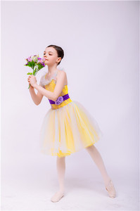 黄色批发儿童派对礼服短裙女孩表演穿4层短裙印花薄纱 - Product Image 2