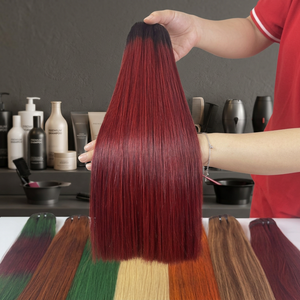 Extensiones de Cabello Liso Natural Asiático con Cierre, Cabello Sedoso y Brillante, 100% Cabello Vietnamita Virgen, Precio al por Mayor - Product Image 1