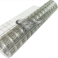 Rouleau de grillage galvanisé 48 pouces x 100 pieds pour clôture de jardin, protection contre les oiseaux et les rongeurs, vente en gros d'usine, OEM