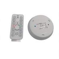 Ampoule LED Intelligente Connectée Wi-Fi Culot E27 Globe Alimentée par Courant Alternatif Plafonnier Dimmable RGB Lampe Intelligente pour Maison et Chambre d'Hôtel