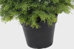 Planta Artificial profesional de alta calidad de estilo nórdico, 60cm, 13 ramas, árbol de Navidad denso, plantas bonsái - Product Image 2