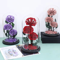Offre Spéciale : Rose Éternelle Préservée sous Cloche en Verre – Coffret Cadeau – Vente en Gros Direct Usine Chine – Noël, Saint-Valentin, Fête des Mères, Remise de Diplôme