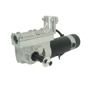 24 Volt Dc Motor 250W tekerlekli fırça motoru 24 V 48 Volt tekerlekli sandalye Dc Motor