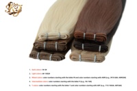 Extensions Micro-Link à double trame plate, 100% cheveux humains vierges Remy, cuticules intactes, qualité européenne, texture lisse naturelle