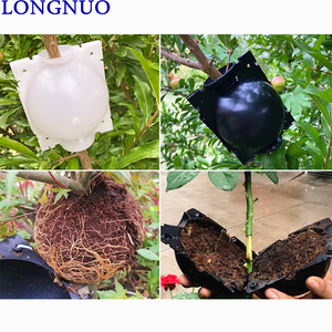 Plant High Pressure Propagating Box Cuttings Grafting <strong>Rooting</strong> Box Garden <strong>Trees</strong> High Pressure <strong>Rooting</strong> Machine Propagating <strong>Ball</strong> - Product Image 1