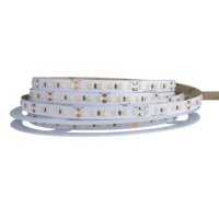 Bande lumineuse LED à spectre complet avec indice de rendu des couleurs élevé (CRI 95), garantie 7 ans, SMD2835, CCT réglable, dimmable, pour éclairage de studio professionnel