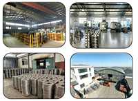 Rotor de Freno 5531172J10 1A0633251, Buena Disipación de Calor, Frenado Estable, Suministro Directo de Fábrica, Piezas de Repuesto para Suzuki