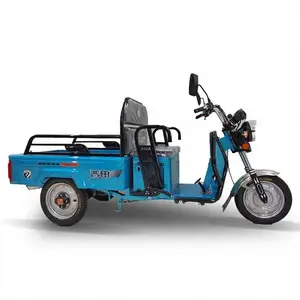 Putian Factory Price Hot Sale Drum Brake Street Legal Trikes With Stereo Electric Tricycle For Elderly Use