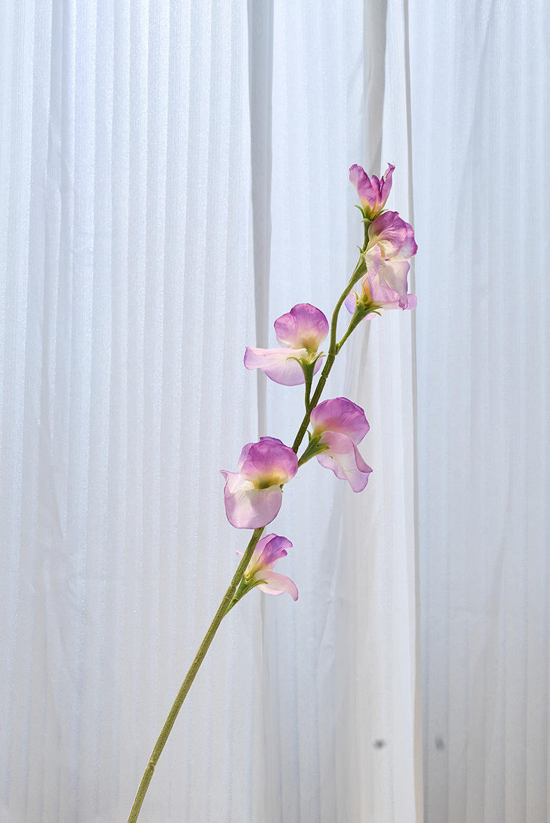 ช่อลาเวนเดอร์