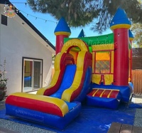 Château gonflable coloré avec toboggan pour enfants, usage domestique et commercial, en PVC, à vendre
