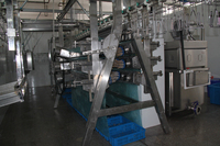 Petite usine d'abattage de poulet automatique approuvée CE, petite ligne de machine d'abattage de poulet