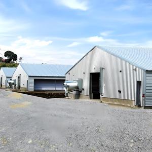 40x60 tavuk kümesi prefabrik çelik yapı tavuk domuz at depolama için kanatlı ev