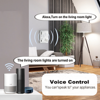 Interrupteur intelligent WiFi EWelink 1 canal AC 85-250V 220V, disjoncteur, commande à distance par application, relais à actionnement progressif, compatible avec Alexa