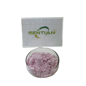 Poudre de fruit d'orange sanguine soluble dans l'eau de poudre de nutrition de supplément de fruit naturel pur - Product Image 5