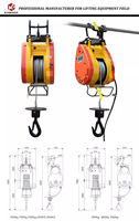 Mini palan électrique à câble métallique, 250kg, 500kg, chaîne de levage électrique, micro palan à corde électrique, mini type de palan électrique, 250kg