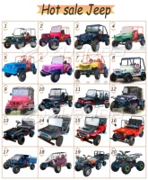 Mini Jeep électrique de luxe Zhenda, automatique, pour adultes, 2 places, en acier, personnalisable, avec garantie d'un an et finition peinture automobile