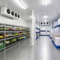 Mini-chambre froide pour le stockage alimentaire des restaurants avec panneaux PU sur mesure et système de réfrigération