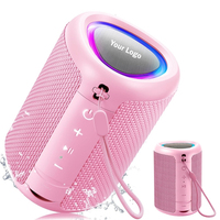 Enceinte portable BT 5.3 TWS, étanche IPX5, son stéréo HD 15W, lumière LED, pour le camping en plein air, la plage, la piscine, la randonnée, cadeau