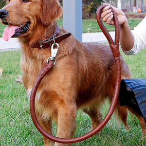 <b>Pet</b> Dog Leather <b>Collar</b> <b>Leash</b> Home Dog Walking <b>Leash</b> Set <b>Pet</b> PU <b>Collar</b> <b>Leash</b> Fashionable Simple Impact Resistant Durable - Product Image 5