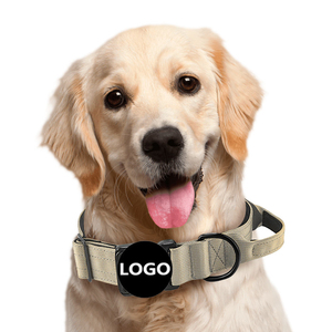 Collar de perro ajustable resistente elástico correa de perro correa de plomo mediano grande táctico collar de perro Correa - Product Image 3