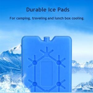 Bán Sỉ Túi Chườm Đá HDPE Cứng Không Độc Hại Có Thể Tái Sử Dụng Được Khối Đá Tủ Đông Lớn Túi Mát - Product Image 5