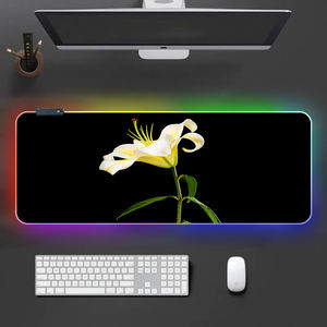 Fabricants Petite QUANTITÉ MINIMALE <span class=keywords><strong>DE</strong></span> COMMANDE xxl caoutchouc piqué <span class=keywords><strong>ergonomique</strong></span> large personnalisé sublimation <span class=keywords><strong>de</strong></span> jeu rgb <span class=keywords><strong>Tapis</strong></span> <span class=keywords><strong>de</strong></span> <span class=keywords><strong>Souris</strong></span> - Product Image 3