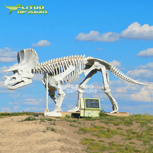 Khủng long công viên cuộc sống Kích thước Triceratops Mô Hình Bộ Xương - Product Image 3