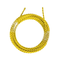 Câble de détection de fuite d'eau en plastique haute sensibilité 6 mm, capteur sonore réseau TCP, alarme sonore, longueur/couleur personnalisables, Tuya Smart