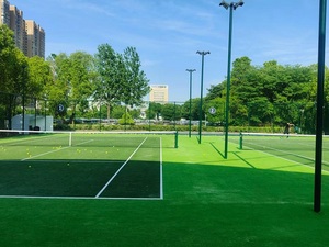 Césped artificial <span class=keywords><strong>de</strong></span> 10/20mm para deportes, utilizado para canchas <span class=keywords><strong>de</strong></span> baloncesto, canchas <span class=keywords><strong>de</strong></span> <span class=keywords><strong>tenis</strong></span>, canchas <span class=keywords><strong>de</strong></span> bádminton y pistas para correr, pista arcoíris - Product Image 1