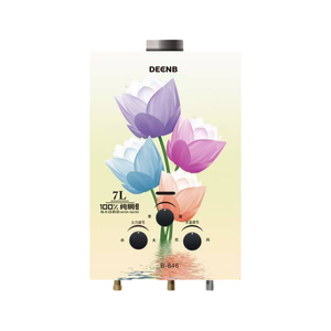 Meilleurs <span class=keywords><strong>prix</strong></span> – Chauffe-eau <span class=keywords><strong>instantané</strong></span> sans réservoir au <span class=keywords><strong>gaz</strong></span>, portable, pour salle de bain, conception OEM - Product Image 3