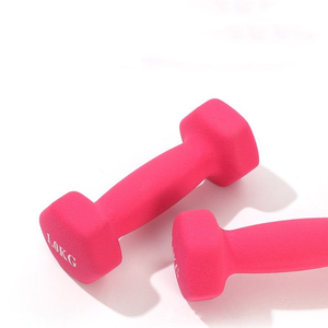 Ensemble d'haltères en PVC enduit de néoprène Fitness Training Poids de squat avant léger Ensemble d'haltères en néoprène vibrant pour femmes - Product Image 1