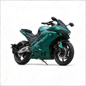 Moto électrique tout-terrain approuvée EEC COC avec moteur à chaîne moyenne 5000w avec prix d'usine - Product Image 5