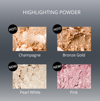 Surligneur de couleur unique de grande capacité de haute qualité or rose champagne rose blanc flash maquillage poudre éclaircissante minérale foncée