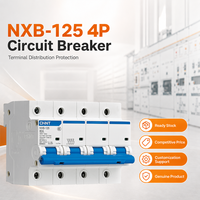 Disjoncteur robuste CH-INT NXB-125 D Curve 63A 80A 100A 125A à boîtier moulé 230V 400V avec fonction d'isolement pour équipements lourds