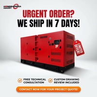 Groupe électrogène diesel silencieux Weichai 200 kW 250 kVA avec capot insonorisé, triphasé, refroidissement par eau, pour usage industriel, avec ATS de secours