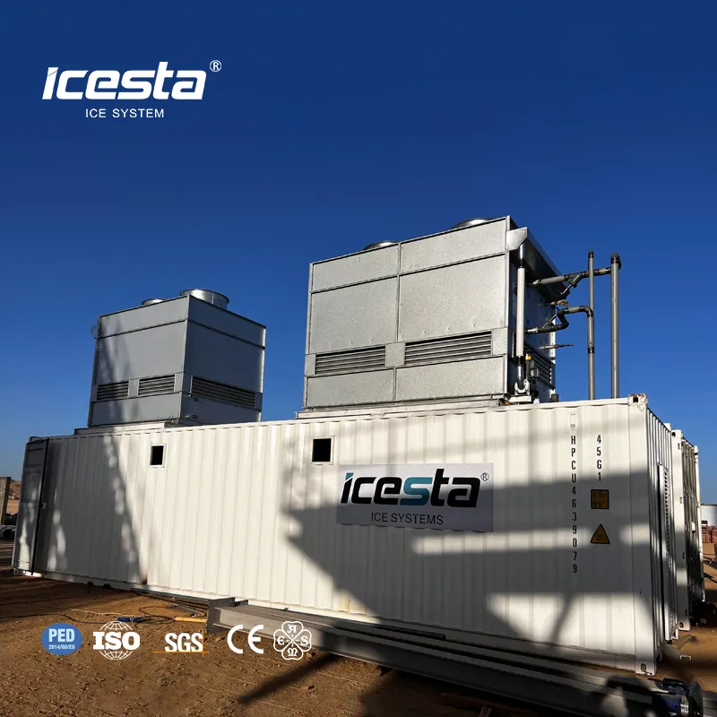 آلة ICESTA لحفظ ندفات الثلج المحمولة ذات الإنتاجية العالية وأعمار الخدمة الطويلة مع نظام التوصيل والتخزين الأوتوماتيكي لجمع وتجميع الثلج