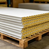 Panel Sandwich Polyurethane untuk Dinding Ruang Dingin, Berinsulasi, untuk Gudang Pendingin dan Pengolahan Makanan