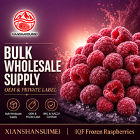 IQF Diepvries Frambozen Groothandel Gehele Diepvries Frambozen Bulk Hoge Kwaliteit Fruit voor Smoothies