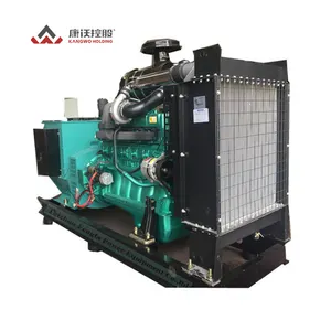 Cina generatore di gas diesel prezzo superiore gruppo elettrogeno 250 kva con wfp