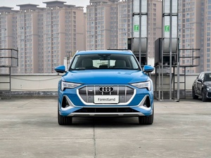 Utilisé pour les <span class=keywords><strong>Audi</strong></span> <span class=keywords><strong>quattro</strong></span> EV, moteur double puissant, son B&O, vente en gros pour les concessionnaires automobiles africains - Product Image 2