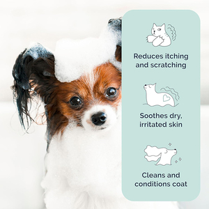 Shampoo <span class=keywords><strong>anti</strong></span>-démangeaisons pour chien entièrement naturel, parfum d'aloe vera et de concombre, sans savon, apaise la peau sèche, adoucit, désodorise, shampooing à l'avoine pour animaux domestiques, chiens et chats - Product Image 4