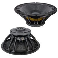 Haut-parleur subwoofer de 21 pouces, 2400 W de puissance élevée, aimants doubles, 280 mm, bobine vocale de 5 pouces, 98 dB, haut-parleur de haute qualité.