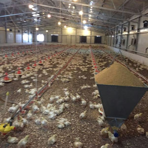 هيكل فولاذي لمزرعة دواجن/مستودع ورشة عمل معدنية بسعر مصنع رخيص مع تصميم - Product Image 6