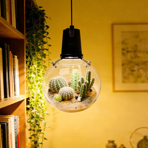 Lampe <span class=keywords><strong>de</strong></span> culture LED intelligente pour hydroponie, pot suspendu pour micro-légumes, idéal pour débutants, culture hors-sol à domicile - Product Image 4