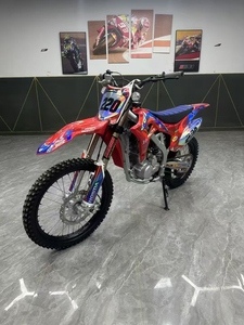 Xinguizun Ji Dao Zhe - 1R <span class=keywords><strong>250</strong></span> - Motocicleta Todoterreno de Gasolina de Segunda Mano - Acabado de Pintura Original - Garantía de Calidad - Product Image 3