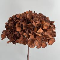 Bunga Abadi Warna Musim Gugur Hydrangea Yunnan Daun Besar Awetan Batang Tunggal untuk Dekorasi Pernikahan
