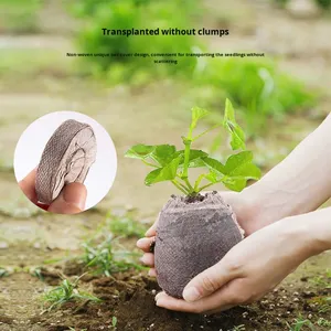 บล็อกดินมะ<span class=keywords><strong>พร้าว</strong></span>อัดแน่นสำหรับเพาะชำ น้ำหนักเบา เป็นมิตรกับสิ่งแวดล้อม ระบายอากาศได้ดี เหมาะสำหรับพืชอวบน้ำและพืชสีเขียวทั่วไป - Product Image 1