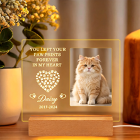 Lampe de nuit LED 3D commémorative pour animaux de compagnie, base en bois, abat-jour au design moderne, option DIY, alimentation USB, certifiée CE, cadeau de souvenir pour animal de compagnie